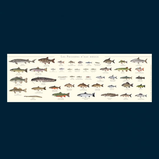 Poissons d'eau douce