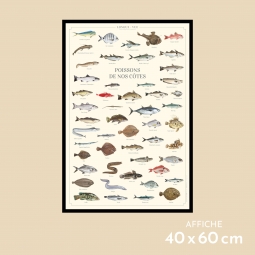 Poissons de nos côtes