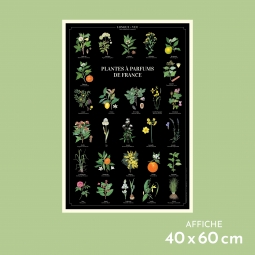 Plantes à parfums de France...
