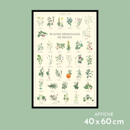 Plantes médicinales de France