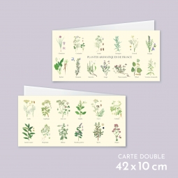 Plantes aromatiques de France