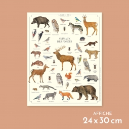 Animaux des forêts