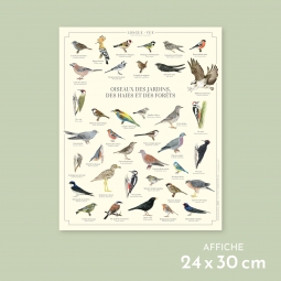 Oiseaux des jardins, des...