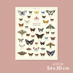 Papillons de France