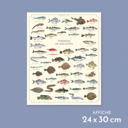 Poissons de nos côtes