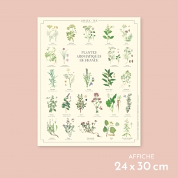 Plantes aromatiques de France