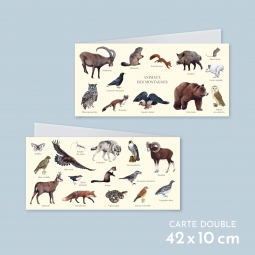 Animaux des montagnes