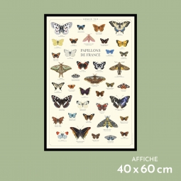Papillons de France