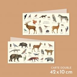 Animaux des forêts