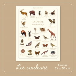 La nature en marron