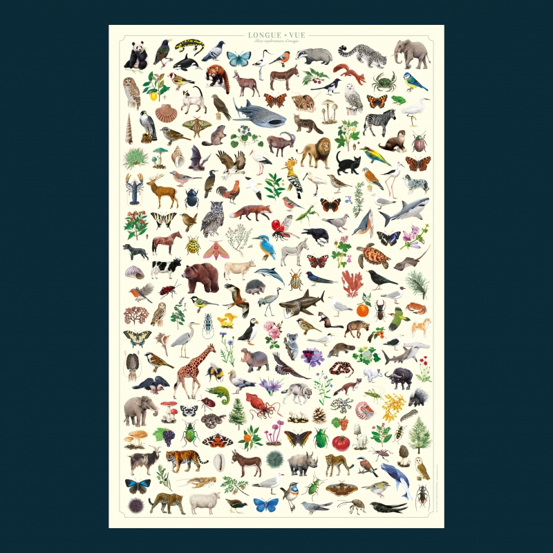 Affiche et jeu cherche et trouve ludique pour les enfants