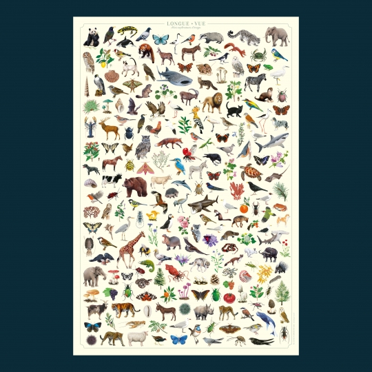Affiche et jeu cherche et trouve ludique pour les enfants