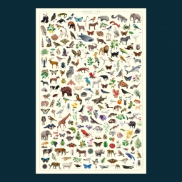Affiche et jeu cherche et trouve ludique pour les enfants