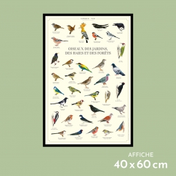 Oiseaux des jardins, des...