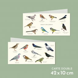 Oiseaux des jardins