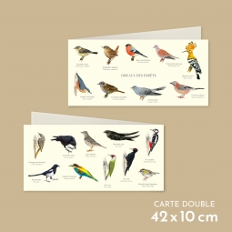 Oiseaux des forêts
