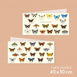 Papillons de France