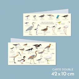 Oiseaux des plages et des...