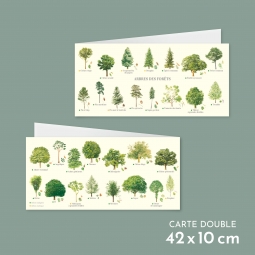 Carte postale des arbres des forêts