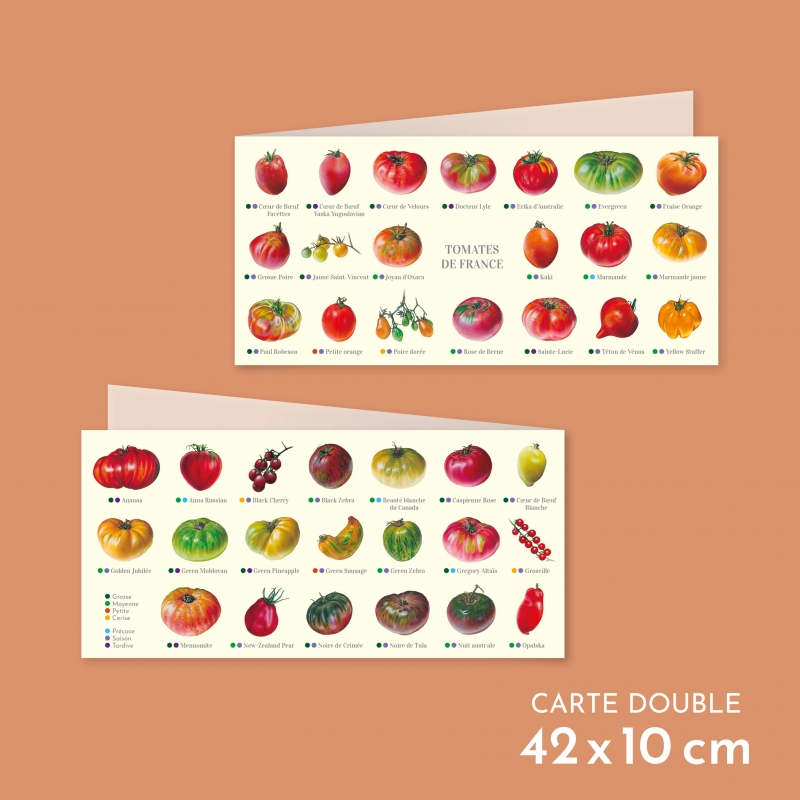 Carte postale double pliée des tomates de France