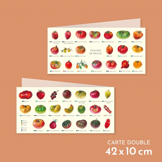 Carte postale double pliée des tomates de France