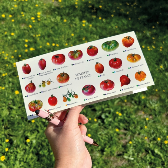Carte postale double pliée des tomates de France