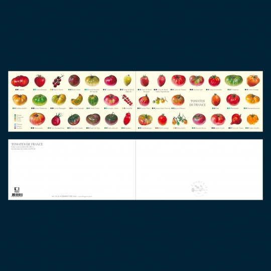 Carte postale double pliée des tomates de France