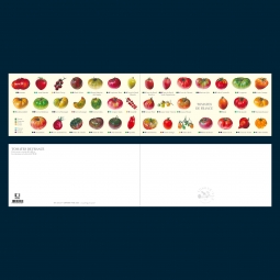 Carte postale double pliée des tomates de France