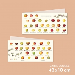 Carte postale pliée des pommes de France