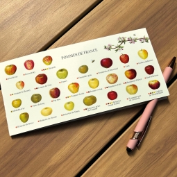 Carte postale pliée des pommes de France