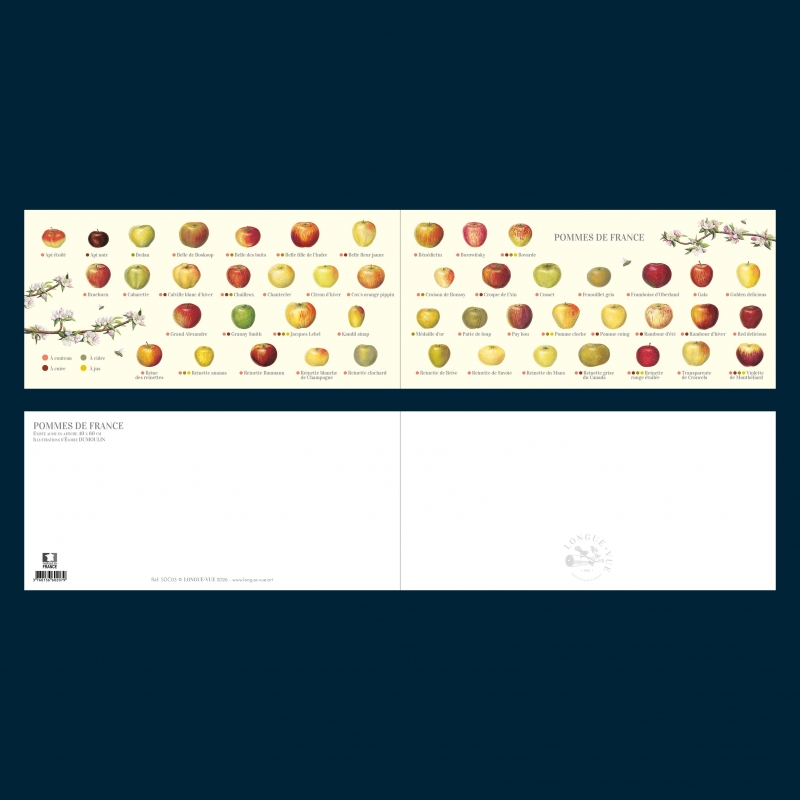 Carte postale pliée des pommes de France