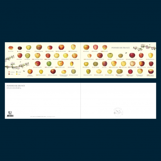 Carte postale pliée des pommes de France