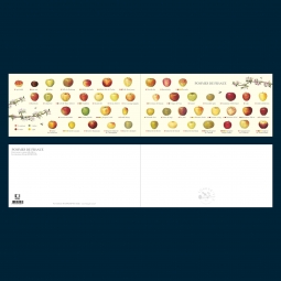 Carte postale pliée des pommes de France