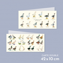 Carte postale pliée double des canards et oies de France