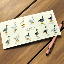 Carte postale pliée double des canards et oies de France
