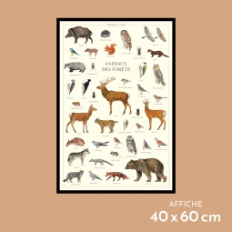 Animaux des forêts