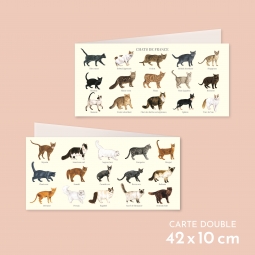 Chats de France