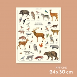 Animaux des forêts