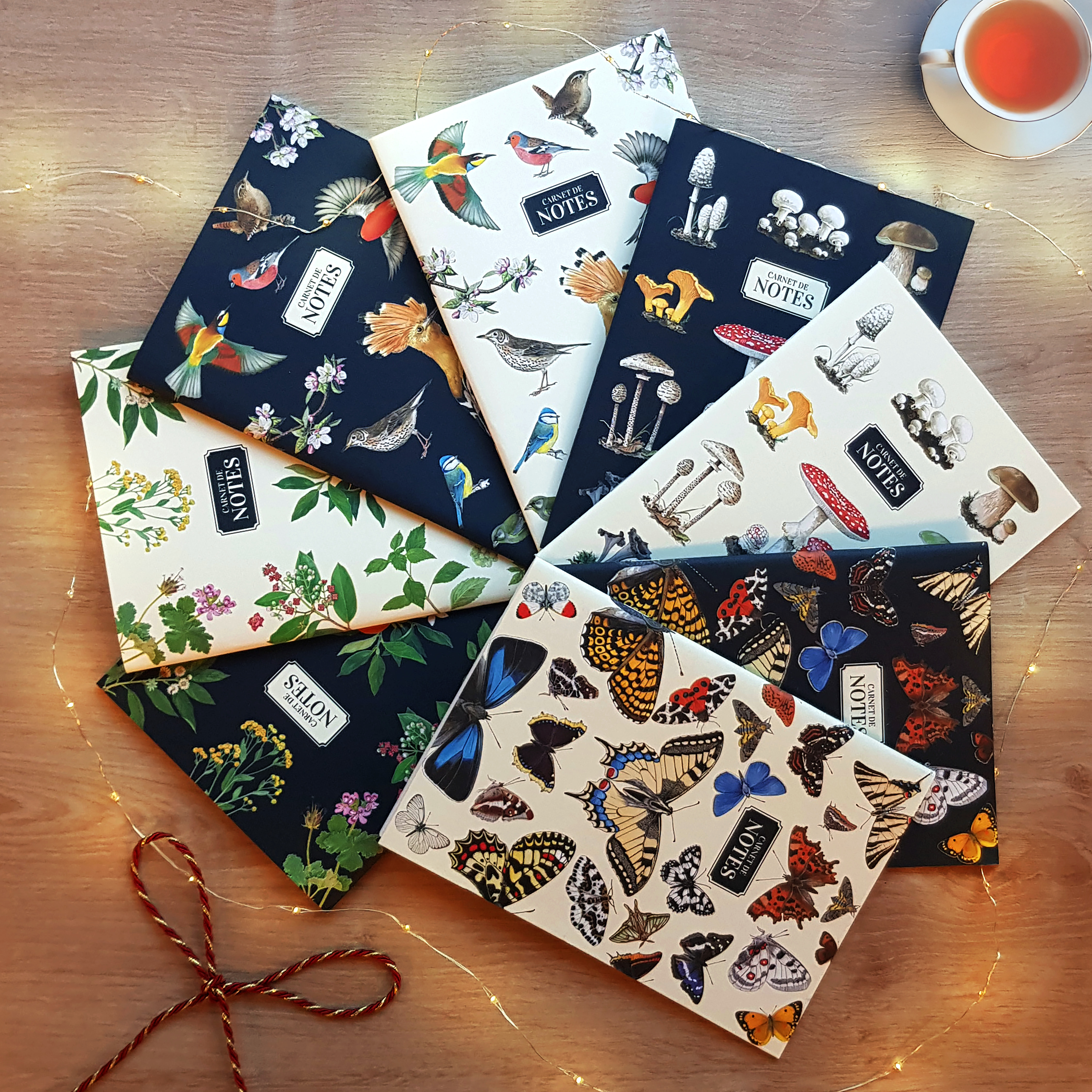 carnets de notes Longue-vue